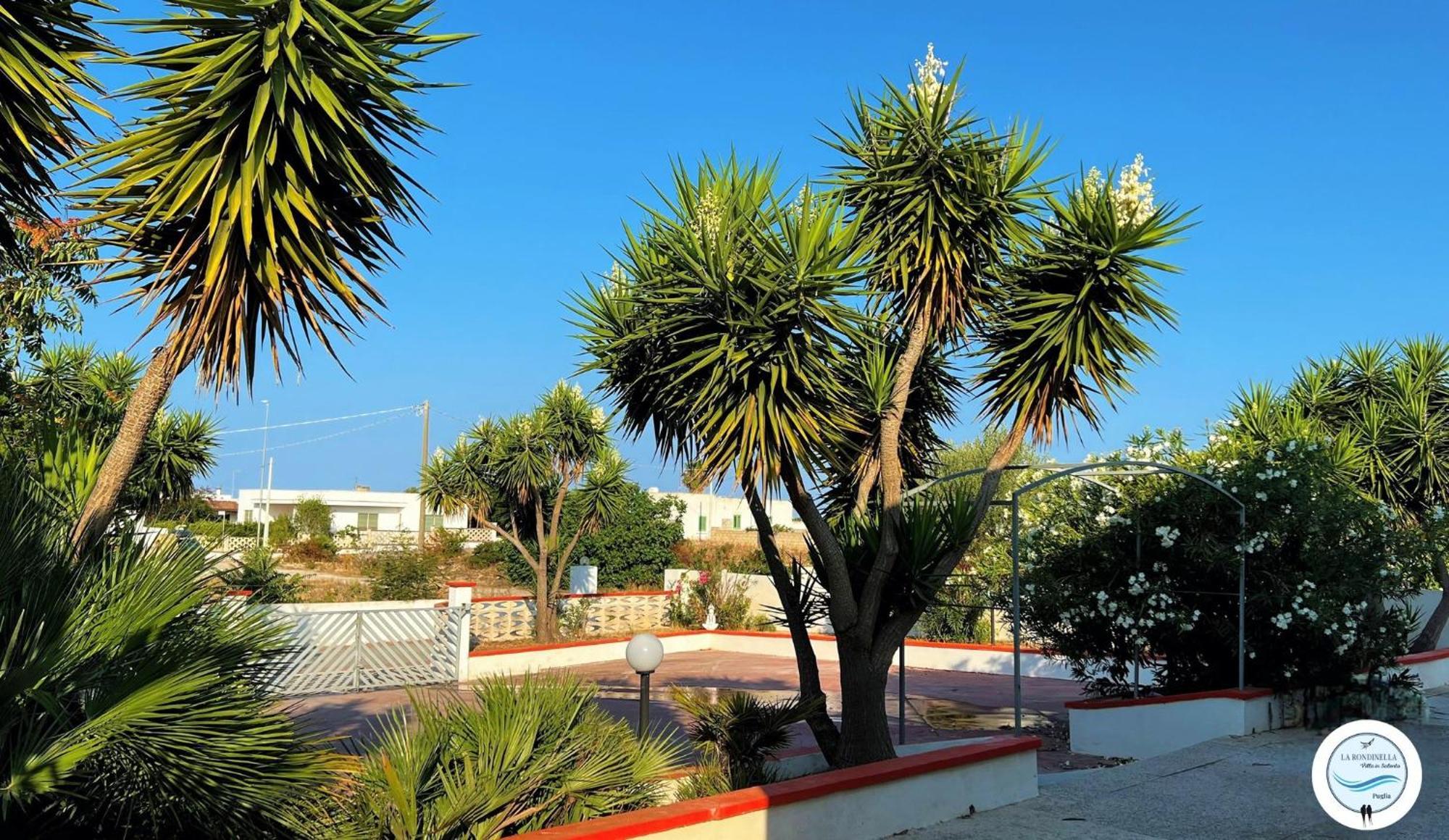 Villa La Rondinella - Torre San Giovanni المظهر الخارجي الصورة