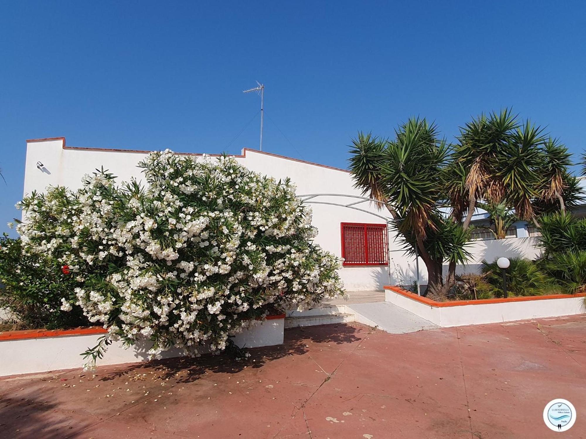 Villa La Rondinella - Torre San Giovanni المظهر الخارجي الصورة